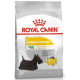 royal-canin-canine-mini-dermacomfort-1-kg