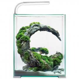 akvarium-set-aquael-shrimp-day-night-30-bile-30l