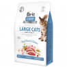 brit-care-cat-grain-free-large-cats-power-vitality-04kg