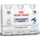 royal-canin-vd-cat-dog-liquid-recovery-3-x-02-l