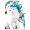 Adventní kalendář RASCO Premium pro kočky 96g