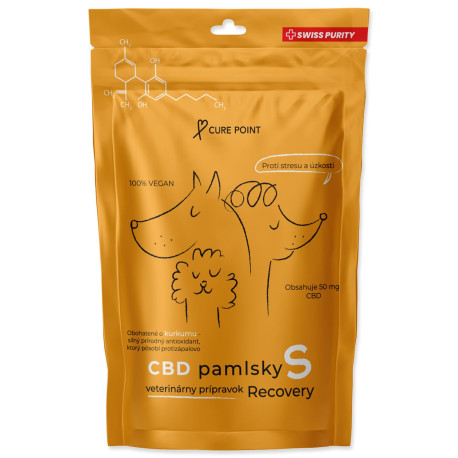 Pochoutka CBD Recovery S 100g