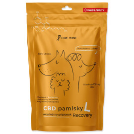 Pochoutka CBD Recovery L 100g