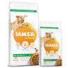 Krmivo IAMS Dog Adult Large Chicken 12kg +Krmivo IAMS Dog Adult Large Chicken 3kg 