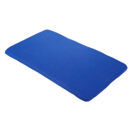 Polštář ATLAS 30 50x30x1,5cm různé barvy FP 1ks