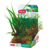 Rostliny akvarijní PLANTKIT 3 sada S Zolux