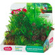 Rostliny akvarijní PLANTKIT 2 sada M Zolux