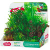 Rostliny akvarijní PLANTKIT 2 sada M Zolux