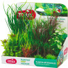 Rostliny akvarijní PLANTKIT 4 sada M Zolux
