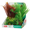 Rostliny akvarijní PLANTKIT 2 sada L Zolux