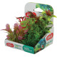 Rostliny akvarijní PLANTKIT 1 sada MINI 6ks Zolux