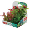 Rostliny akvarijní PLANTKIT 1 sada MINI 6ks Zolux