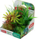 Rostliny akvarijní PLANTKIT 2 sada MINI 6ks Zolux