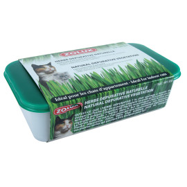 CATNIP - přírodní pochoutka pro kočky Zolux