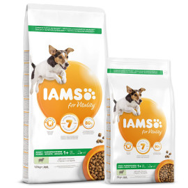 Krmivo IAMS Dog Adult Small & Medium Lamb 12kg +DF Glow míček ZDARMA