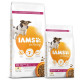 Krmivo IAMS Dog Senior Small & Medium Chicken 12kg +DF Glow míček ZDARMA