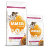 Krmivo IAMS Dog Senior Small & Medium Chicken 12kg +DF Glow míček ZDARMA