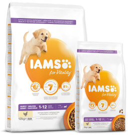 Krmivo IAMS Dog Puppy Large Chicken 12kg +DF Glow míček ZDARMA