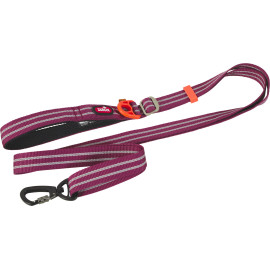Vodítko pes BIVOUAK nastavitelné 25mm/1,15-2m červ Zol