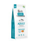 Brit Care Dog Grain-free Adult 12kg
