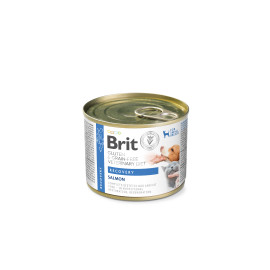 Brit VD Dog+Cat GF konz Recovery 200g