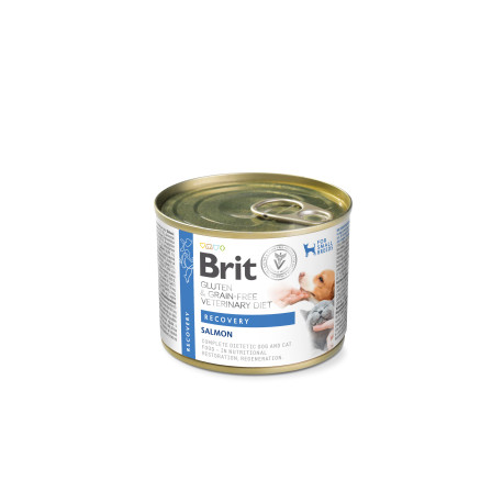 Brit VD Dog+Cat GF konz Recovery 200g