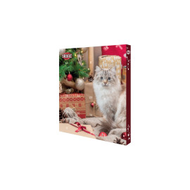 Adventní kalendář pro kočky 380g TR