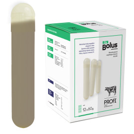 Ca Bolus 12x60g