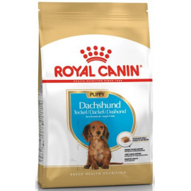 Royal Canin BREED Jezevčík Junior 1,5 kg