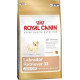 Royal Canin BREED Labrador Junior 12 kg