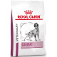 royal-canin-vd-dog-dry-cardiac-ec26-2-kg