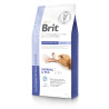 Brit VD Dog GF Gastrointestinal Junior 6kg