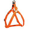 Postroj pes MAC LEATHER oranžová 20mm Zolux