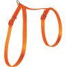 Postroj kočka nylon 10mm oranžový Zolux