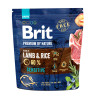 Brit Premium Dog by Nature Sensitive Lamb 1kg
