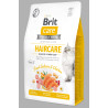 Brit Care Cat GF Haircare Healthy&Shiny Coat 2kg