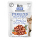 Brit Care Cat Fillets in Jelly Steril Duck&Turkey 85g