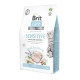 Brit Care Cat GF Insect. Food Allergy Management 2kg