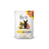 Brit Animals  Immune Stick for Rodents 80g