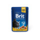 Brit Premium Cat kapsa with Salmon & Trout 100g