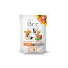Brit Animals  Alfalfa Snack for Rodents 100g