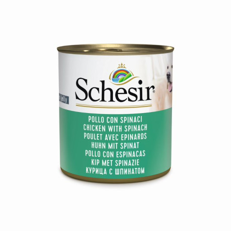 Schesir Dog konz. Adult kuře/špenát 285g