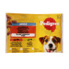 Pedigree kapsa Adult hovězí/drůbeží v želé 4x100g