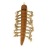 Hračka pes animALL Stonožka kůže, natural 26,5x14cm
