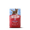 Carnilove Dog Active Dry Salmon&Turkey Adult AB 4kg
