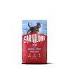 Carnilove Dog Active Dry Salmon&Turkey Adult SB 4kg