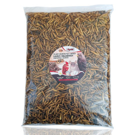 Apetit BLACK SOLDIER bráněnka 500g