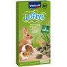Vitakraft Rodent all rodent poch. Lofty´s 100g
