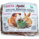 Apetit hlodavčí tráva REFILL náhr.rohož,semínka 3x30g