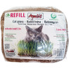 Apetit kočičí tráva REFILL náhr.rohož,semínka 3x30g